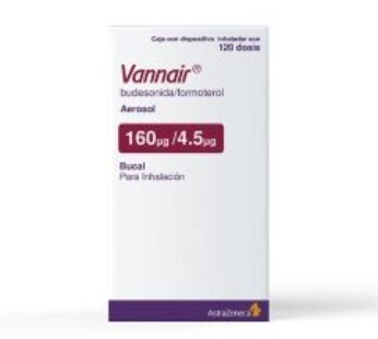 Vannair 160 mcg Budesonida/4.5 mcg Formoterol 120 Dosis Aerosol